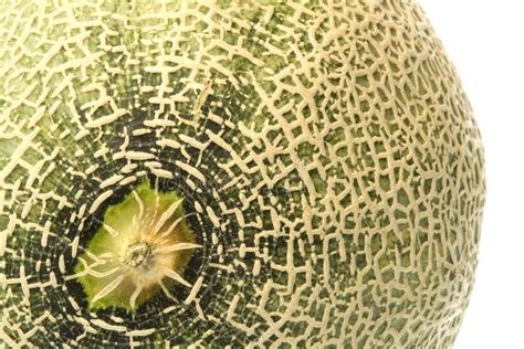 melons vids|Macro Melons